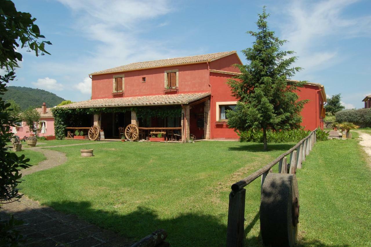Agriturismo Castro Βίλα Ischia di Castro Εξωτερικό φωτογραφία