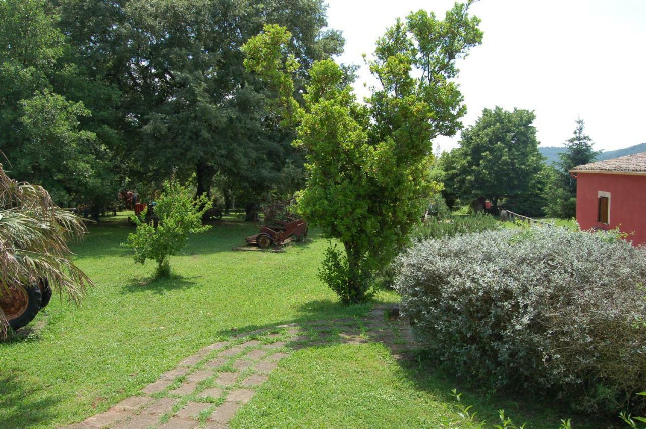 Agriturismo Castro Βίλα Ischia di Castro Εξωτερικό φωτογραφία